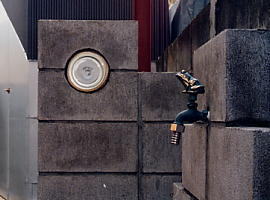 �J�G���̎萅